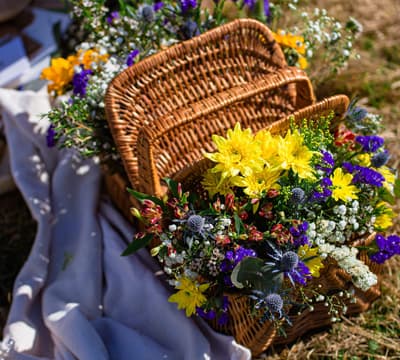 Alago's Floristería - Floristería en Ferrol