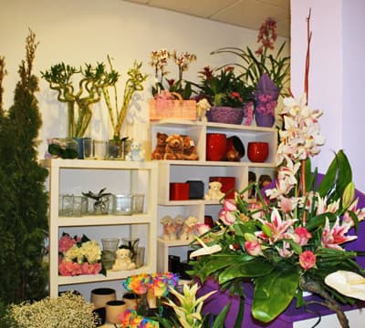 Alago's Floristería - Floristería en Ferrol