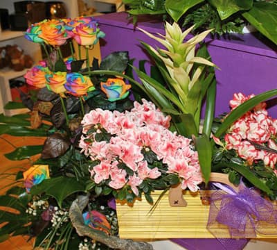 Alago's Floristería - Floristería en Ferrol